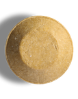 shampoing pure promess
