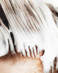 Texture et couleur Gris Osis+ Schwarzkopf