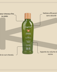 Shampoing Cap'Pump