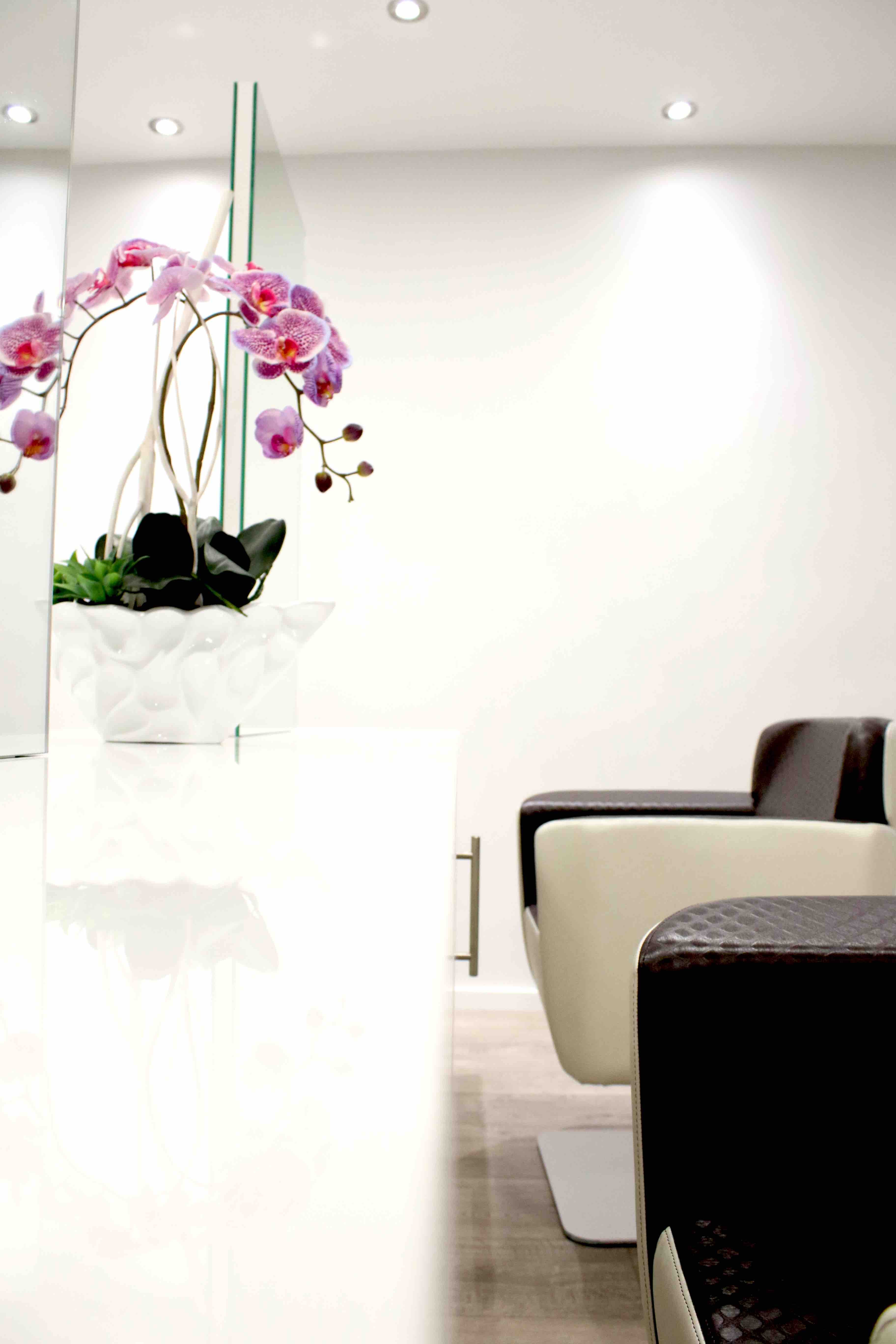 fauteuil et plante salon reishchoffen
