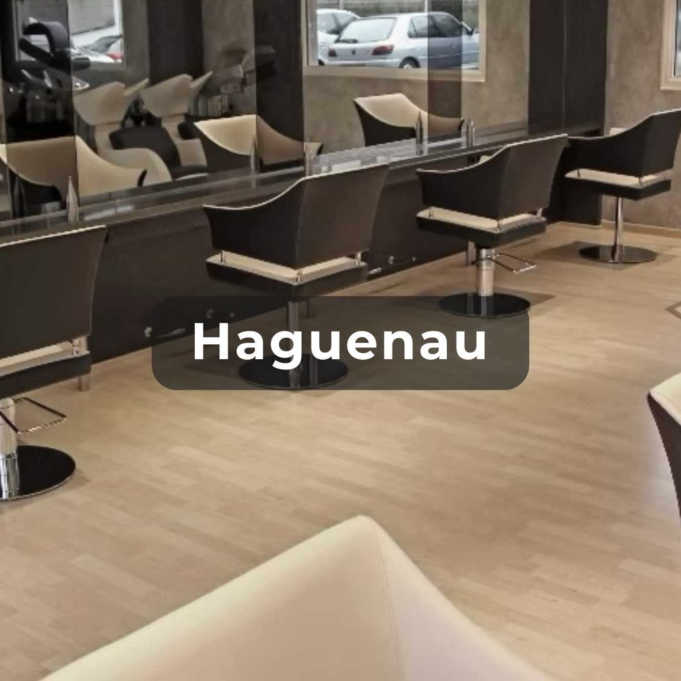 Vignette pour le salon d'Haguenau 