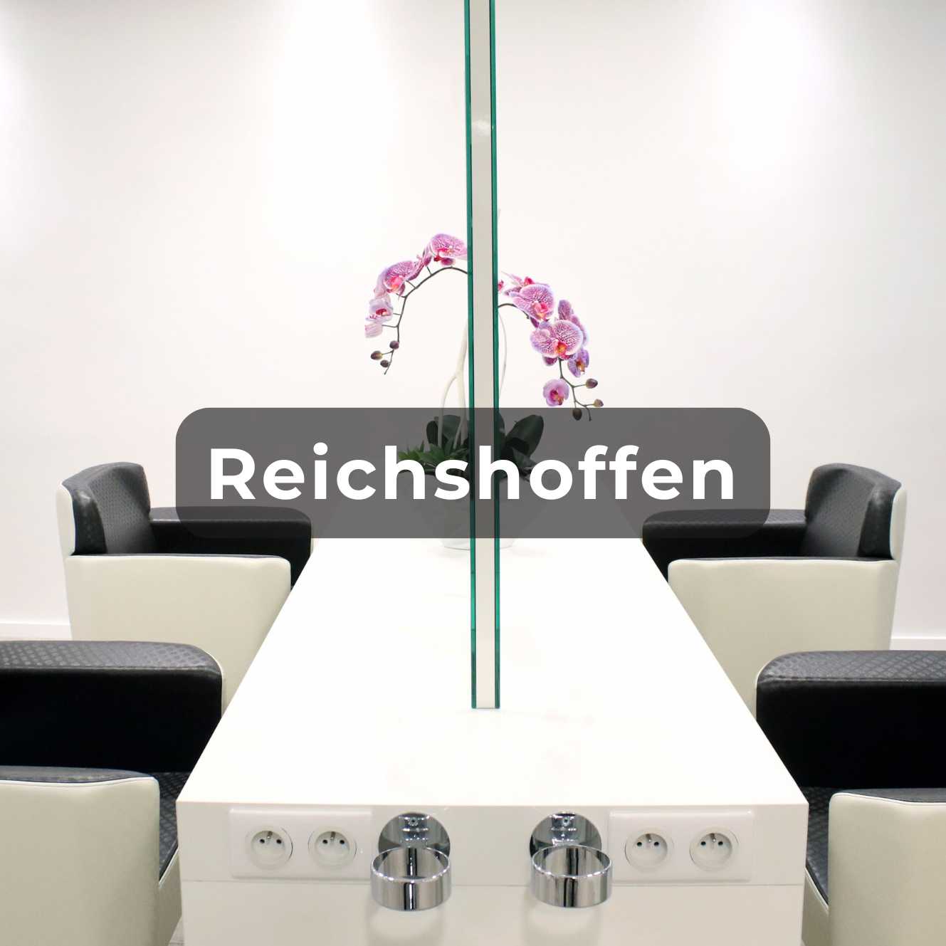 Vignette pour le salon de Reishoffen