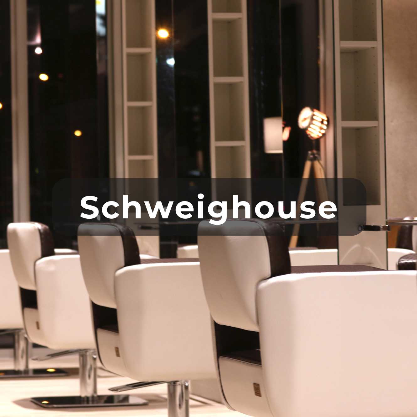 Vignette pour le salon de Schweighouse 