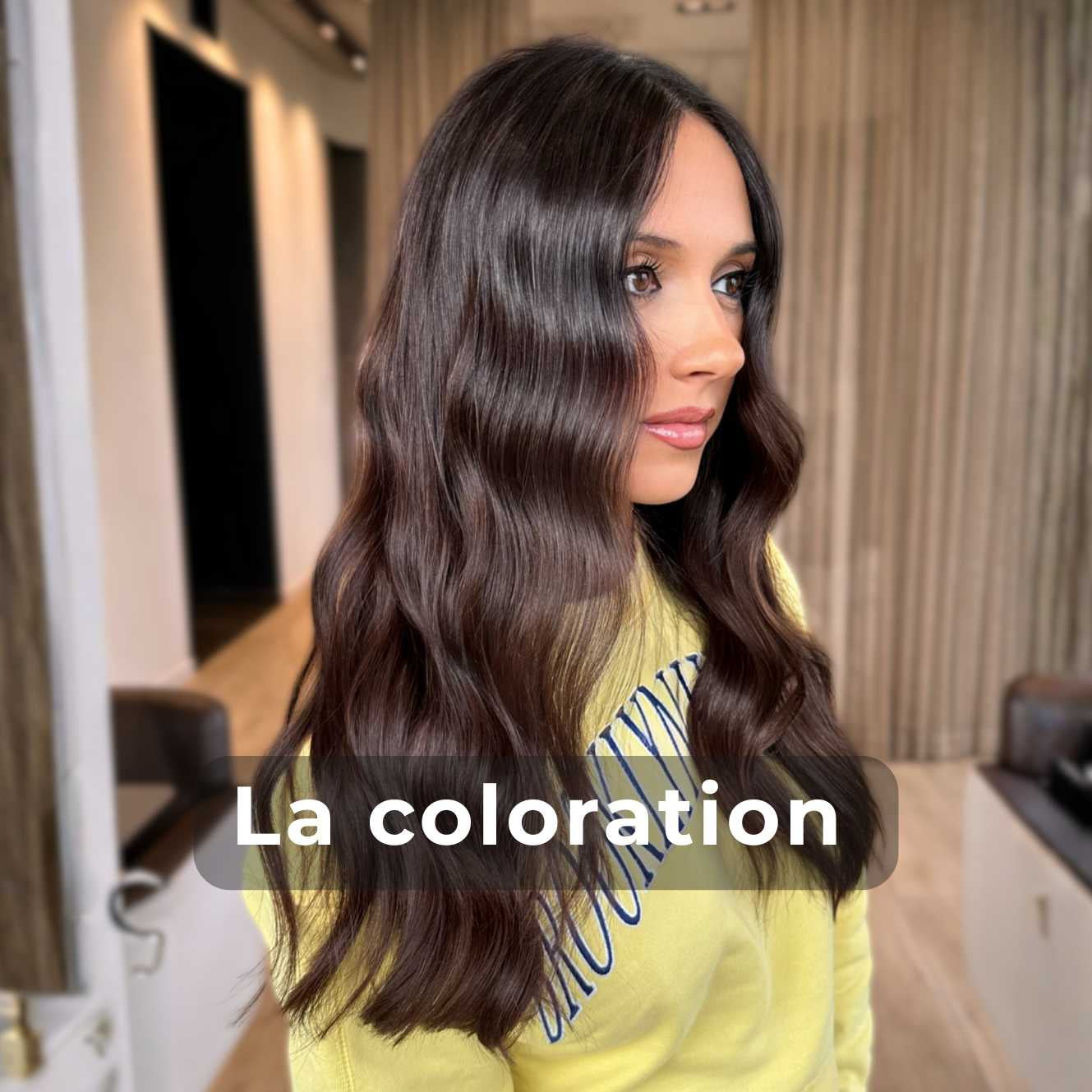 Vignette pour le service coloration